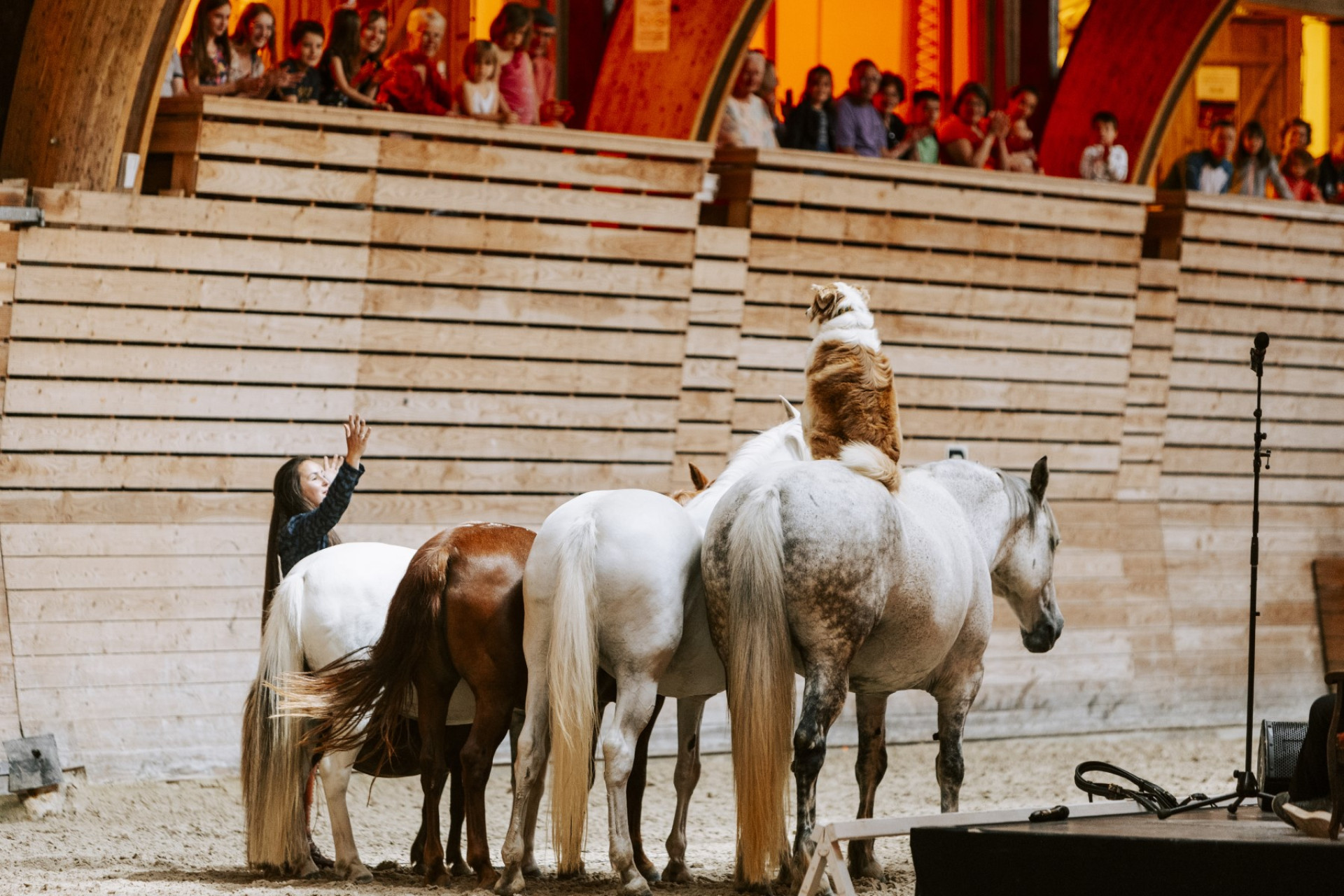 Visites Guid es groupes Du Haras National De Lamballe Bretagne