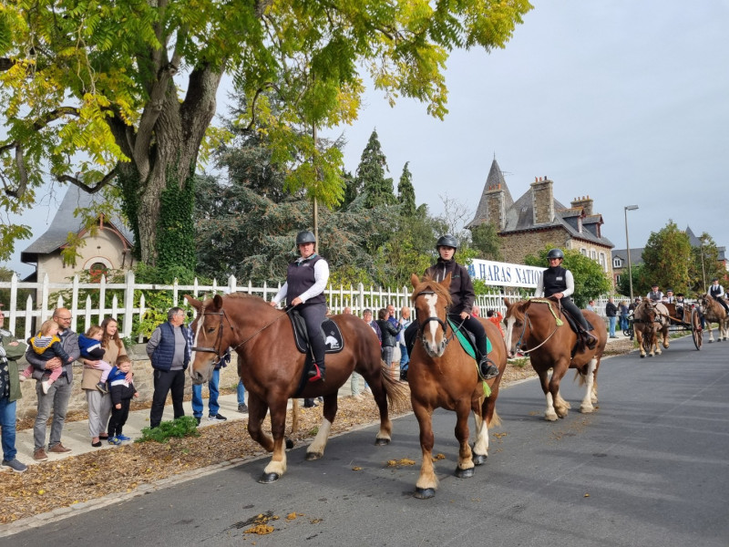Haras National de Lamballe 