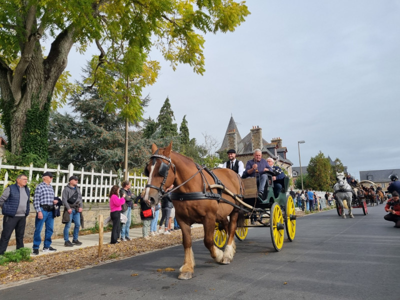 Haras National de Lamballe 
