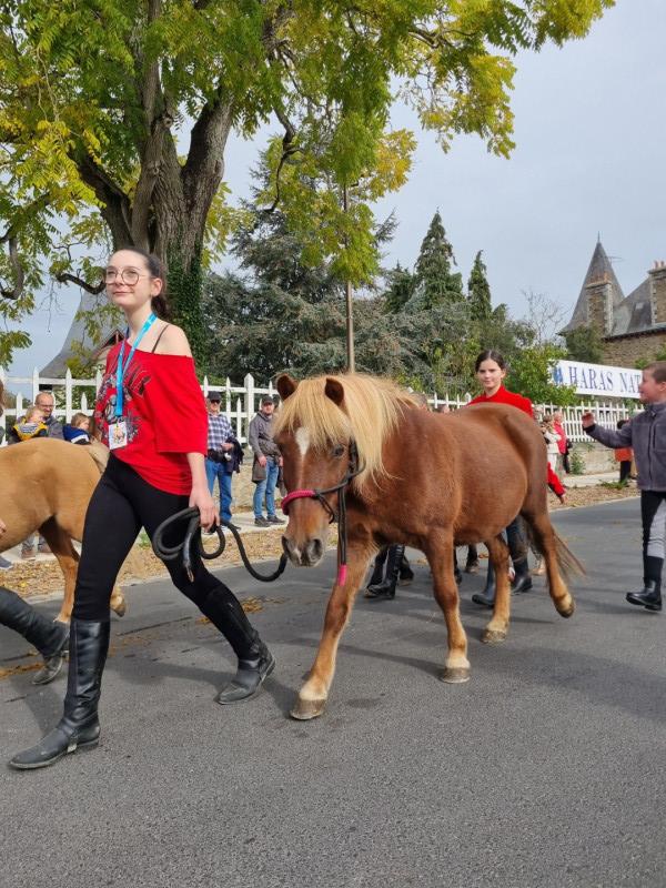 Haras National de Lamballe 