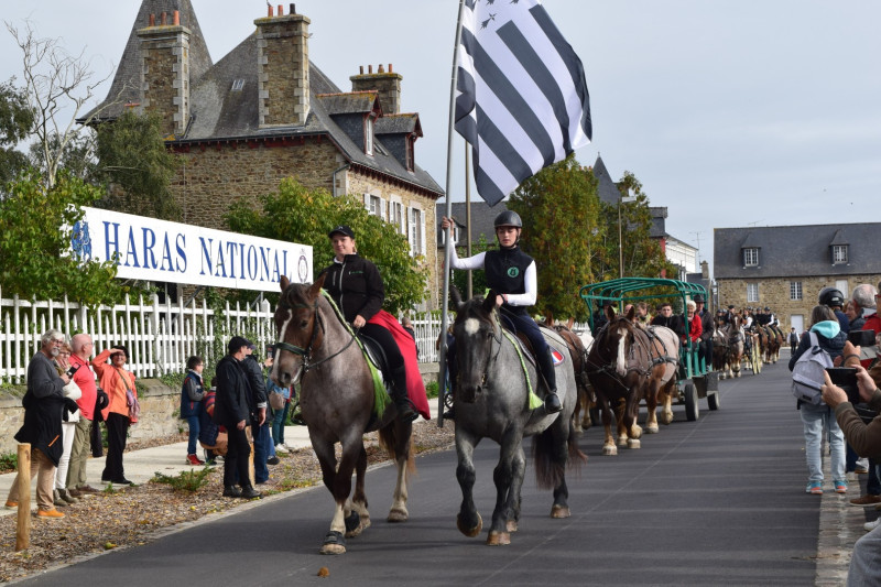 Haras National de Lamballe 