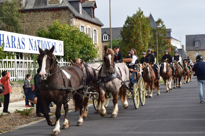 Haras National de Lamballe 