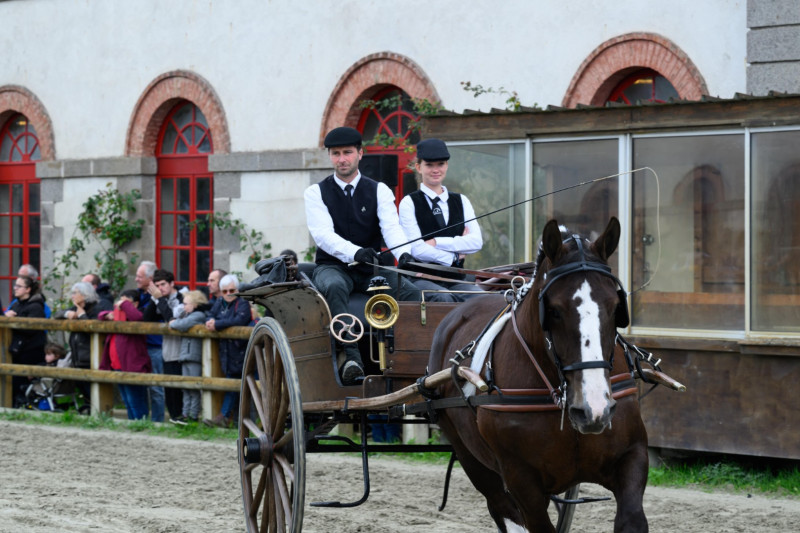 Haras National de Lamballe 