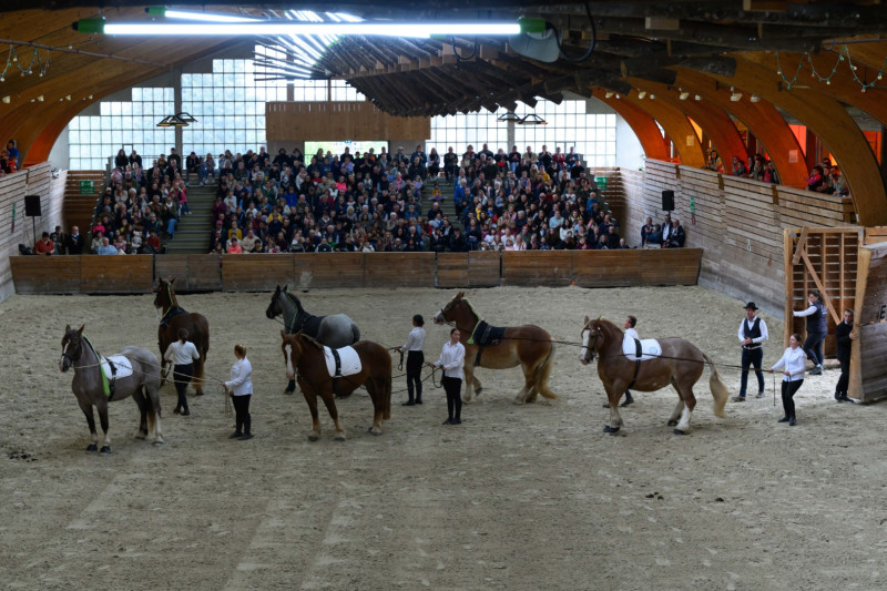 Haras National de Lamballe 