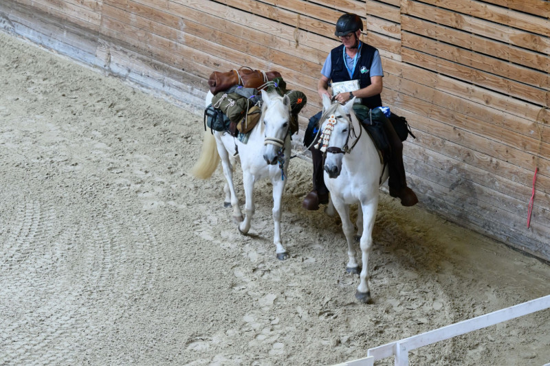 Haras National de Lamballe 