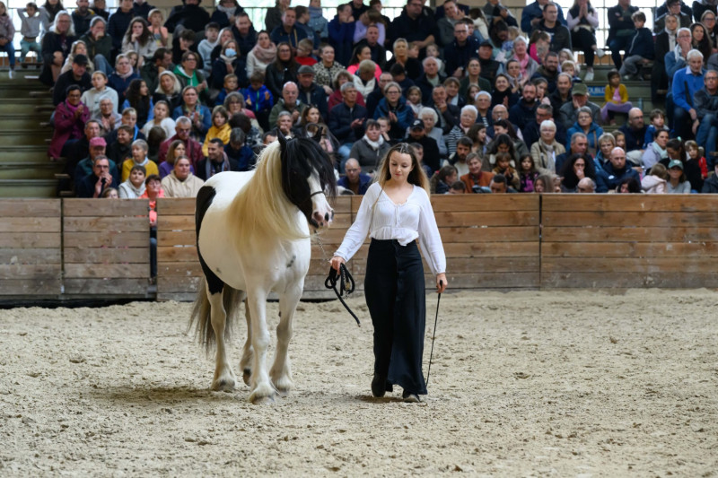 Haras National de Lamballe 