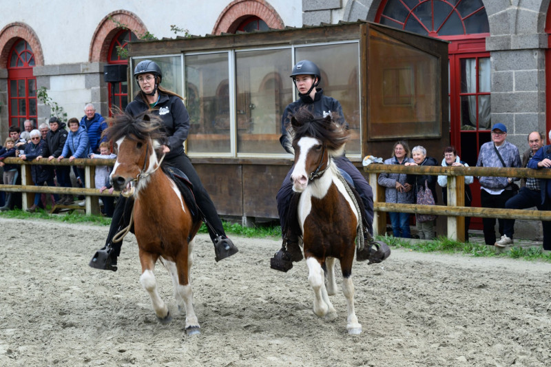 Haras National de Lamballe 