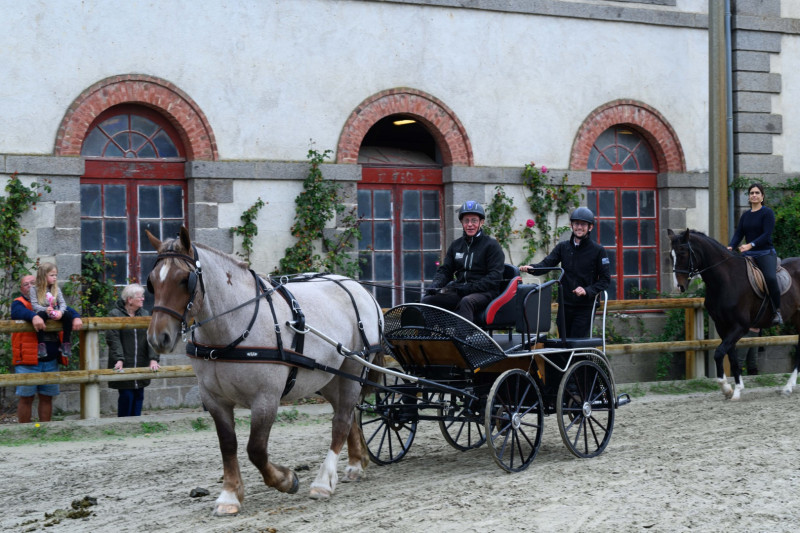 Haras National de Lamballe 