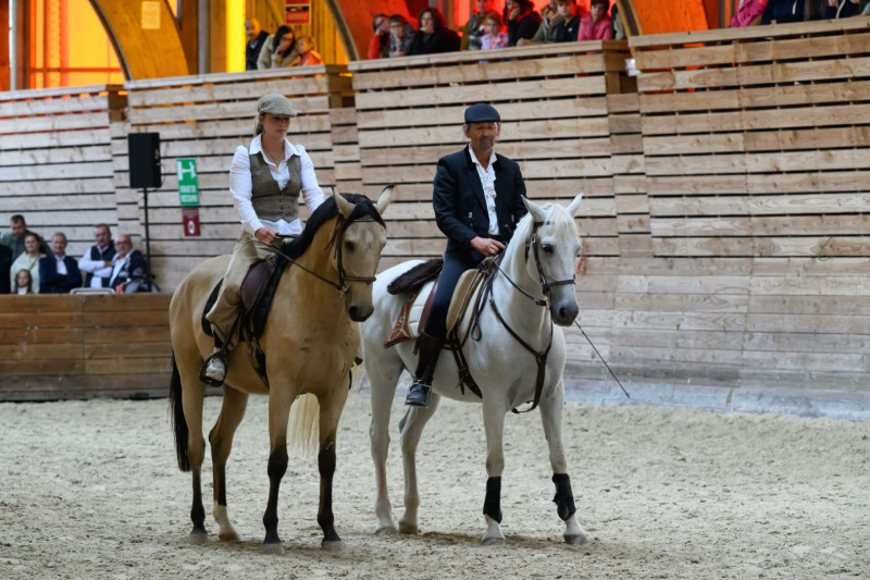 Haras National de Lamballe 