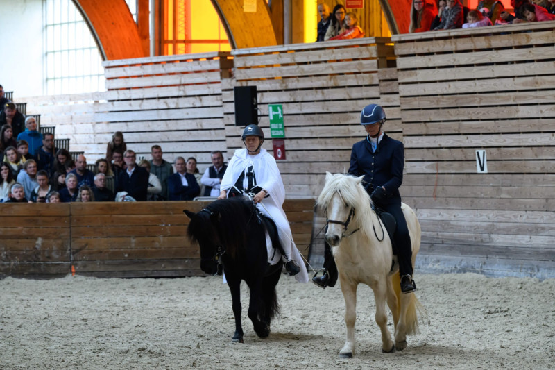 Haras National de Lamballe 