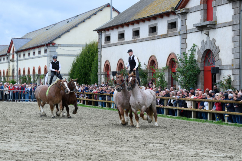 Haras National de Lamballe 