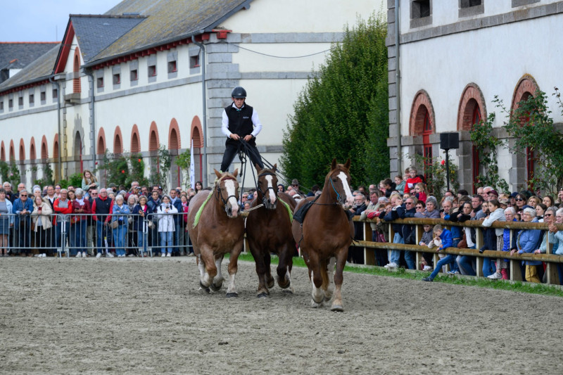 Haras National de Lamballe 