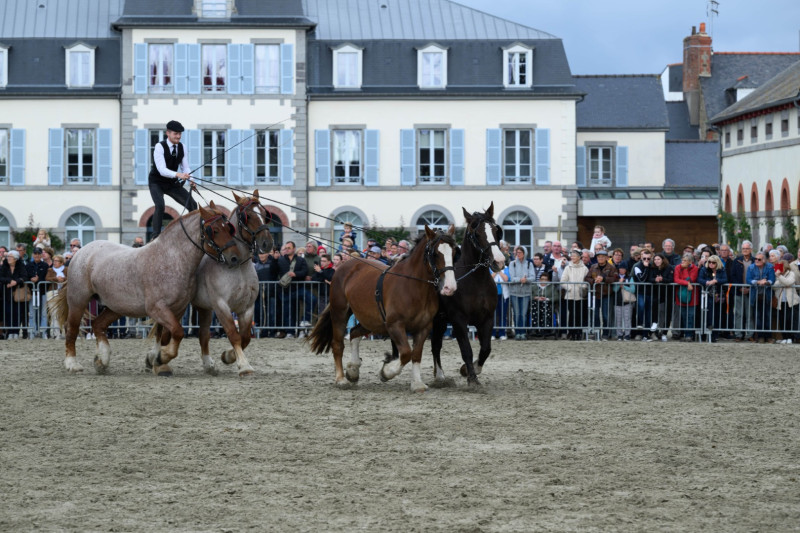 Haras National de Lamballe 