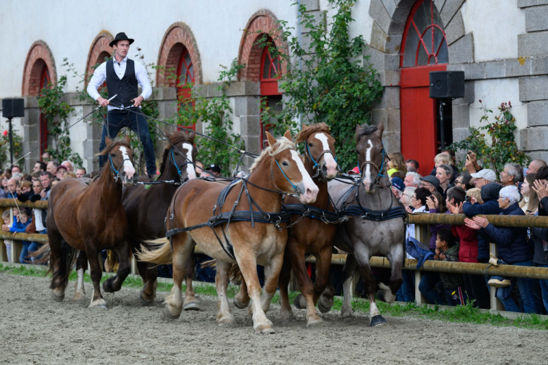 Haras National de Lamballe 
