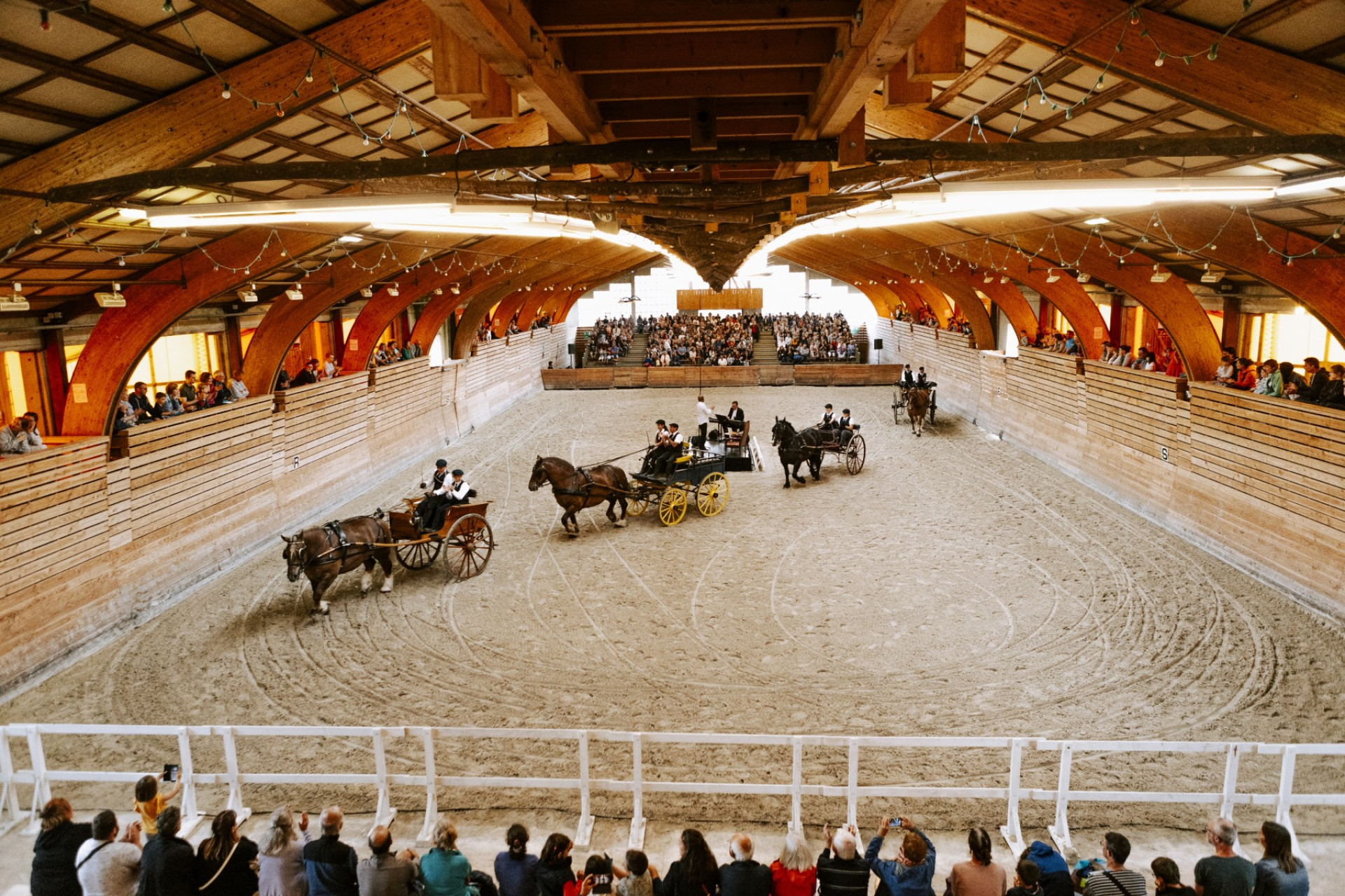 Les Jeudis Du Haras Haras National De Lamballe Bretagne