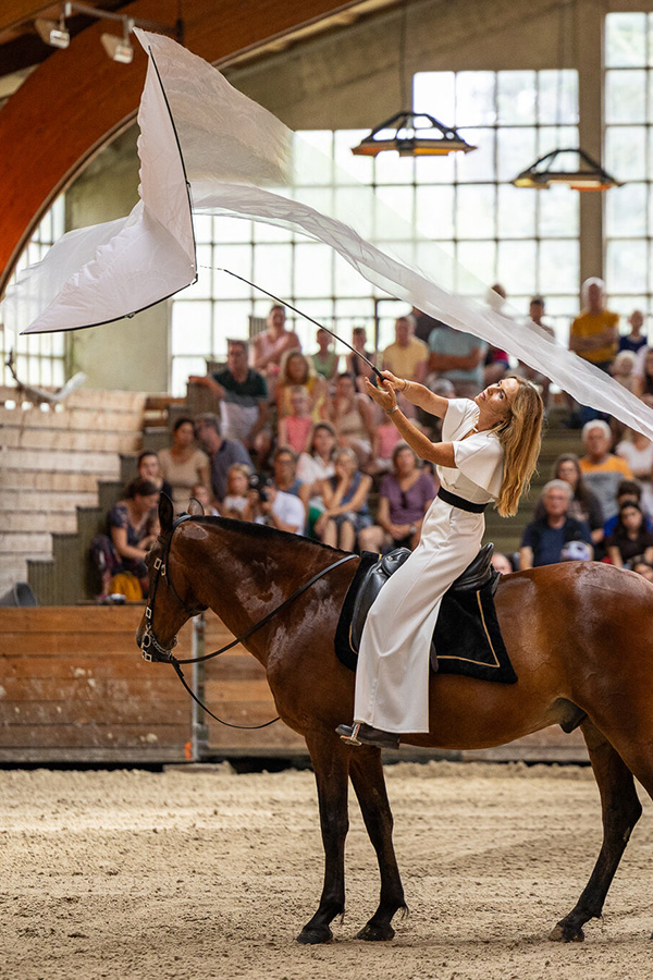 Jeudis du Haras