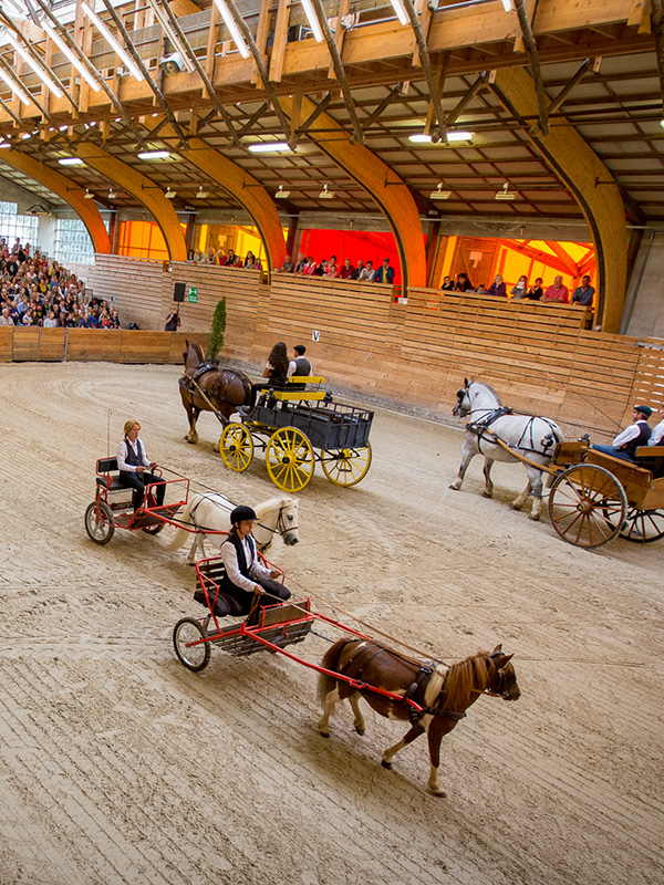 Les Jeudis Du Haras Haras National De Lamballe Bretagne