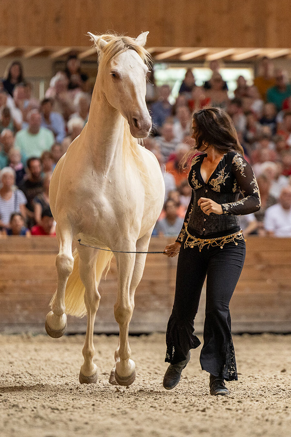 Jeudis du Haras