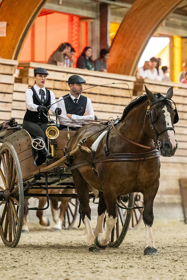 Jeudis du Haras